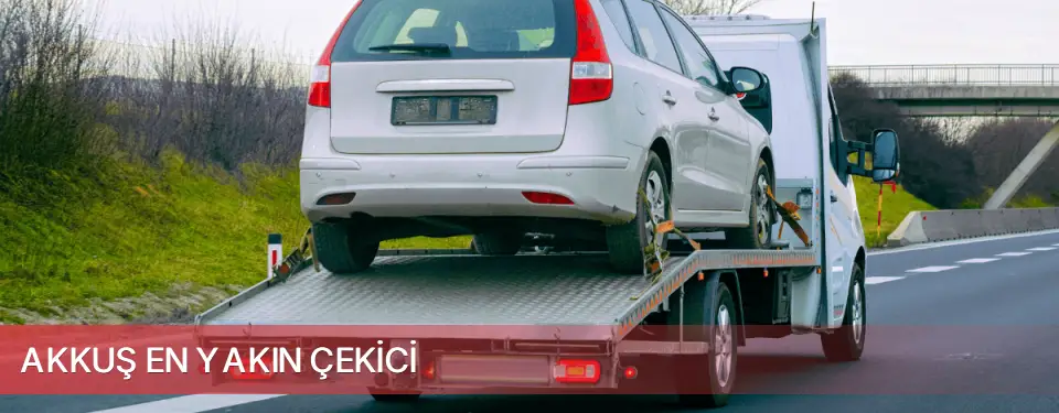 Akkuş İlçemi En Yakın Çekici
